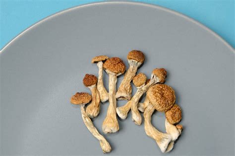 The hidden costs of magic mushrooms: exploring the financial side